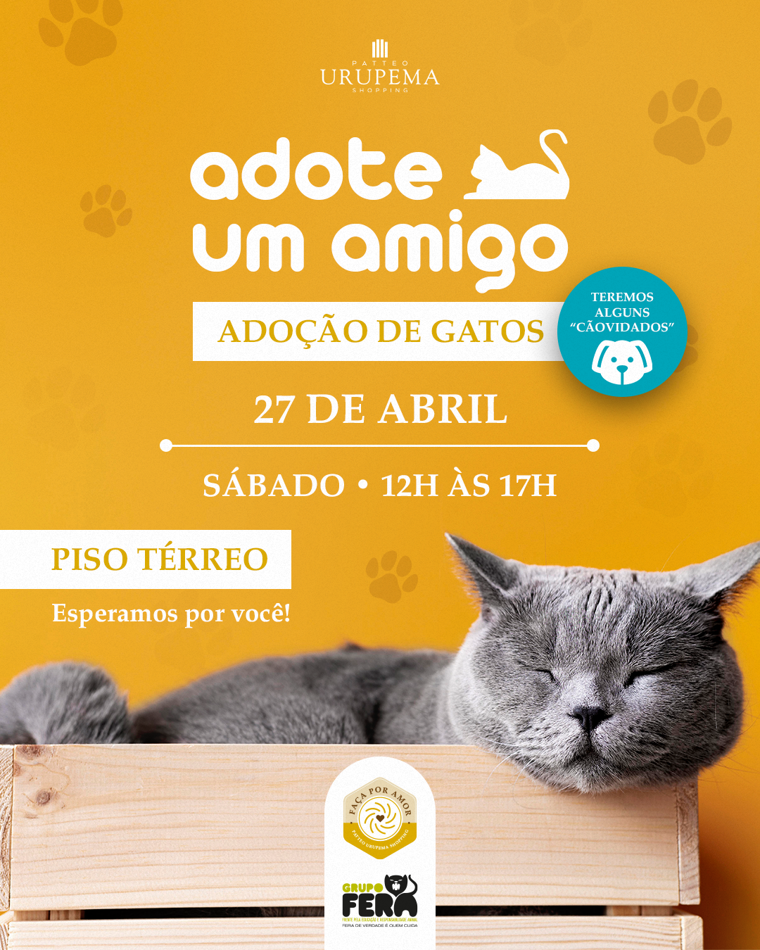 Ilustração do evento: Patteo Urupema Shopping realiza novo evento de adoção pet