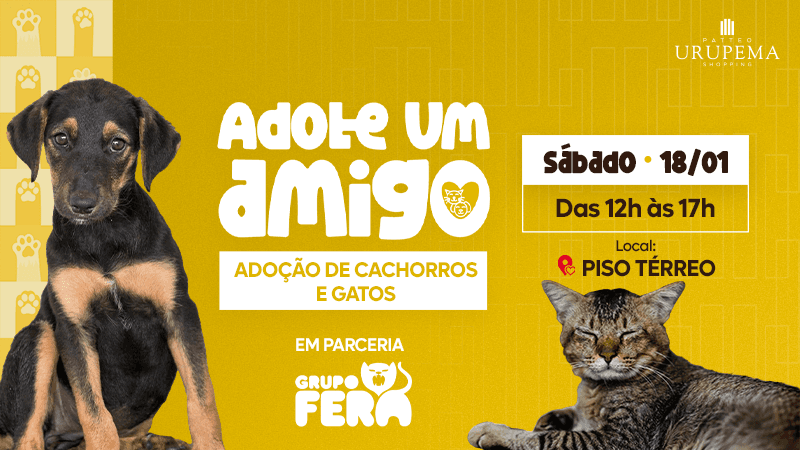 Ilustração do evento: Patteo Urupema Shopping e Grupo Fera promovem adoção de cães e gatos no sábado