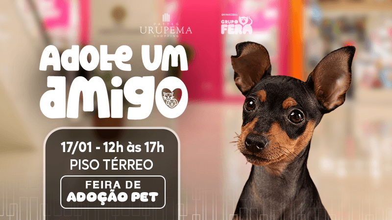 Ilustração do evento: Patteo Urupema Shopping promove primeiro evento de adoção pet do ano neste sábado